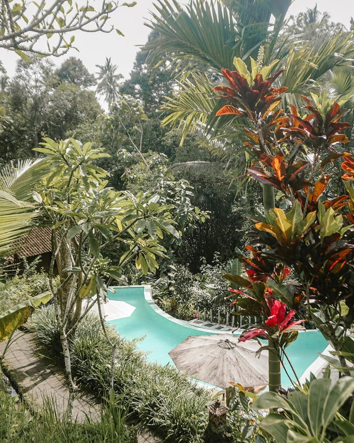 Hotel Song Broek Bali Payangan Esterno foto
