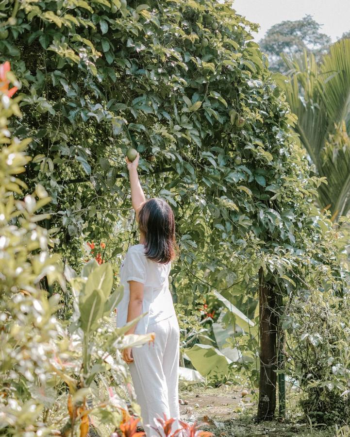 Hotel Song Broek Bali Payangan Esterno foto