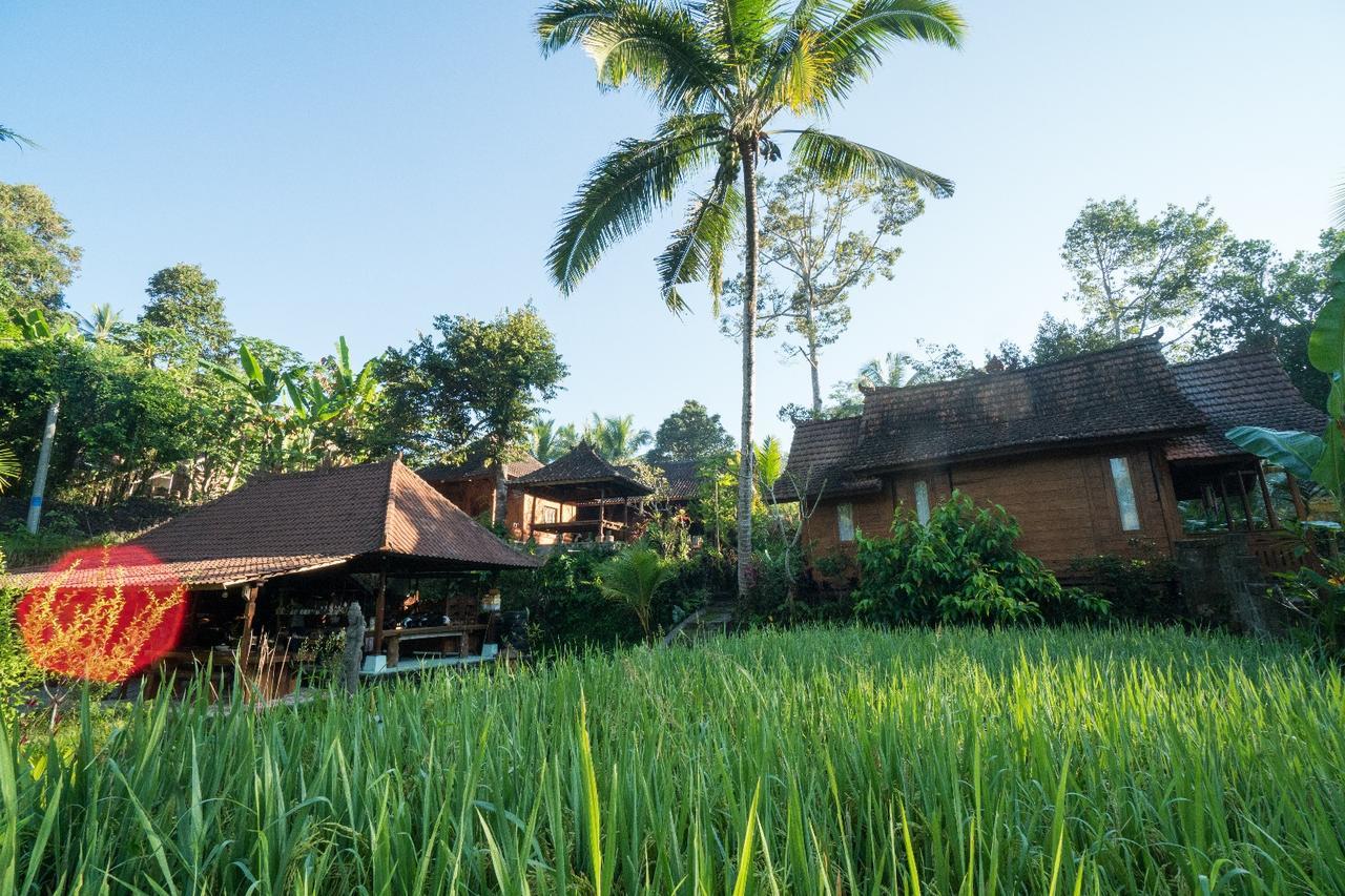 Hotel Song Broek Bali Payangan Esterno foto